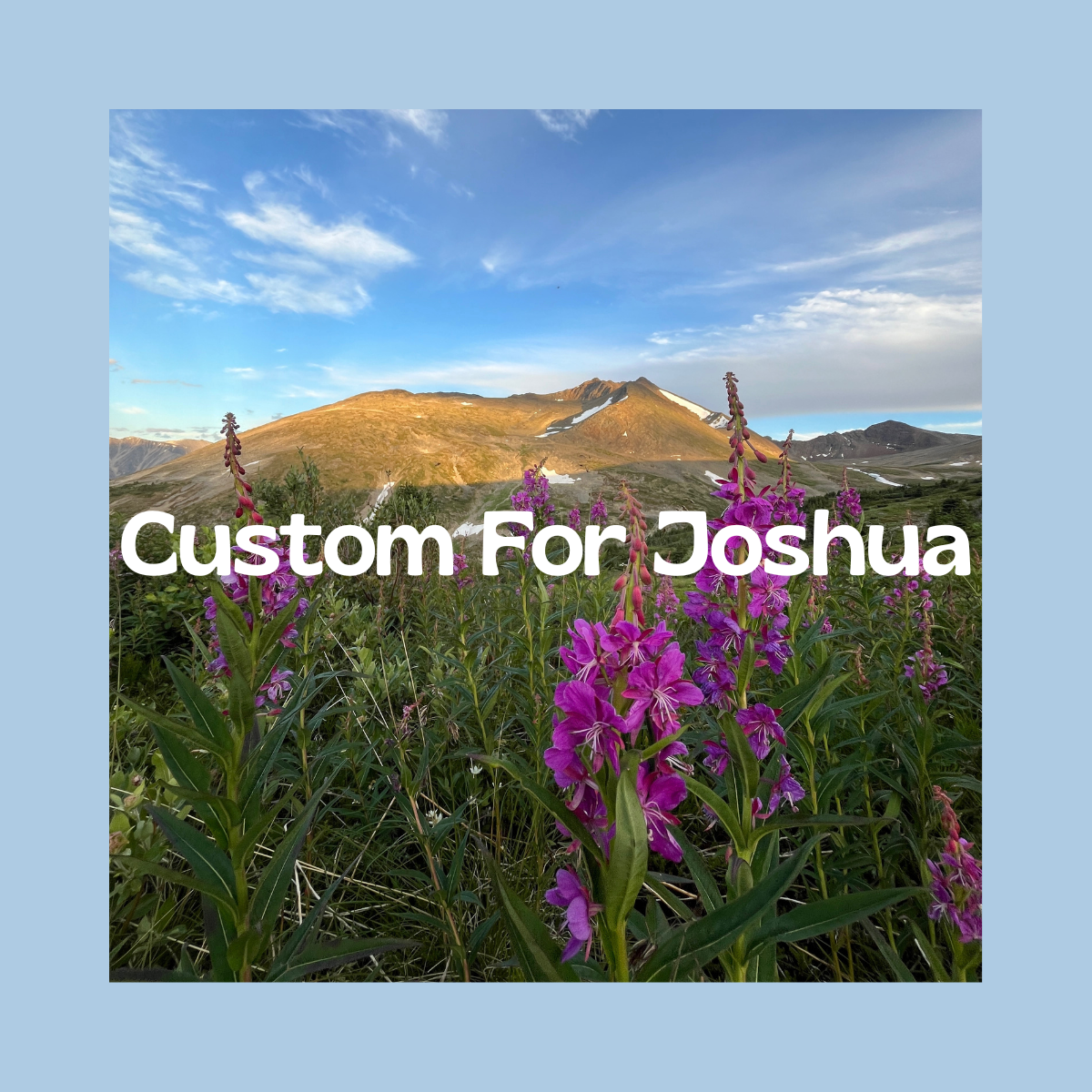 Custom for Joshua!