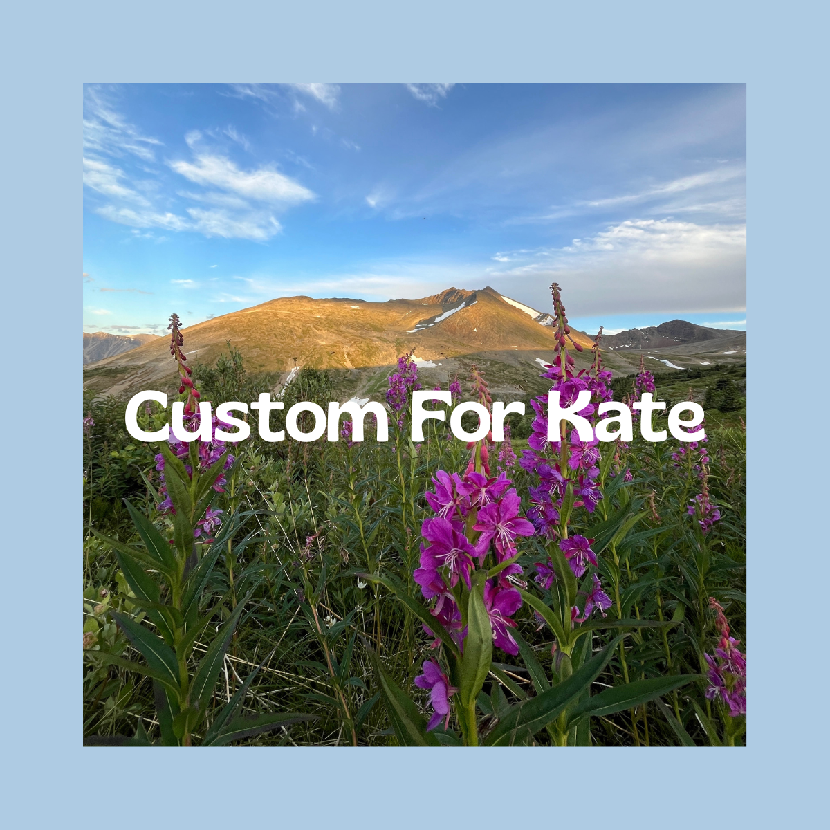 Custom For Kate!