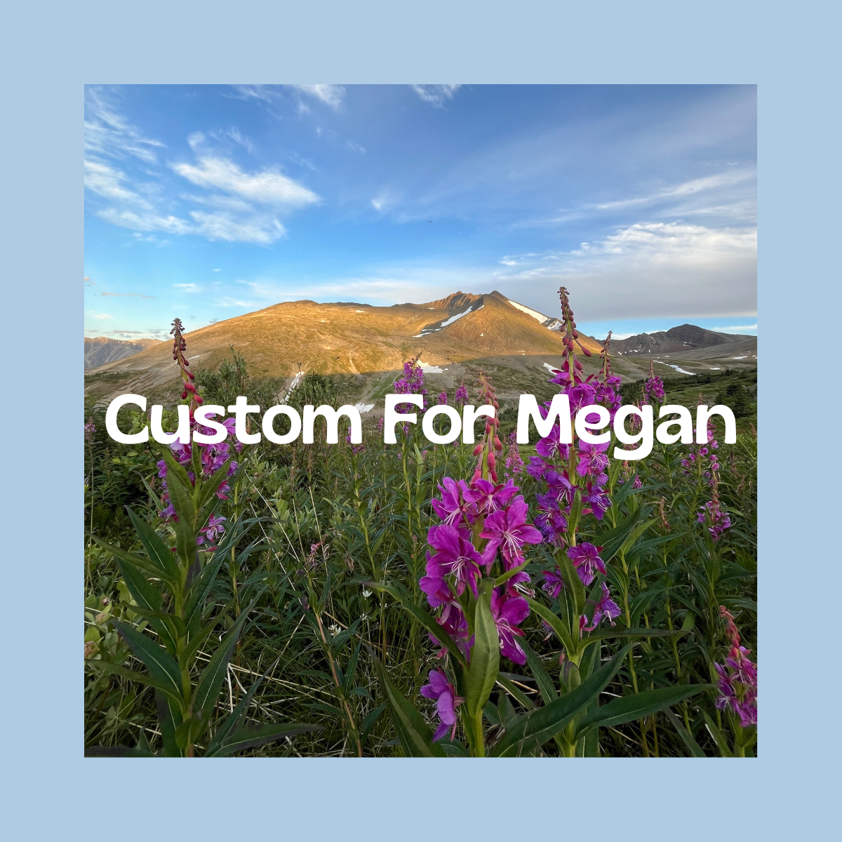 Custom for Megan!