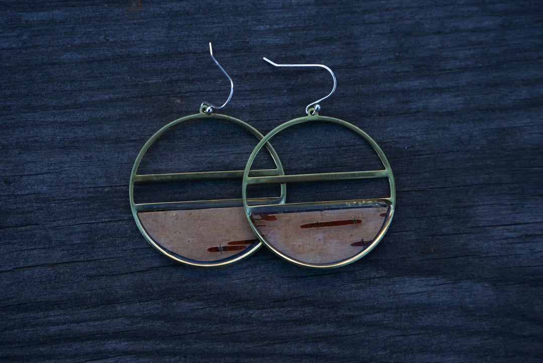 Cirque Hoops