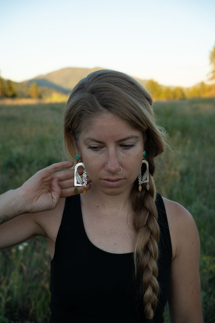 Tongass Understory Frames