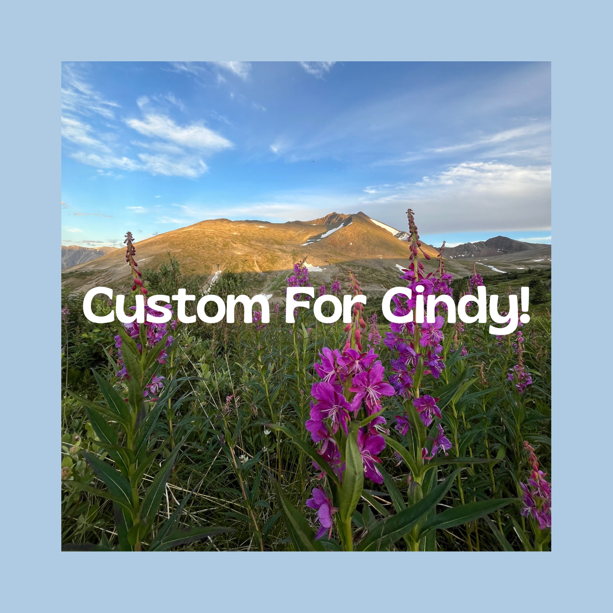 Custom for Cindy!