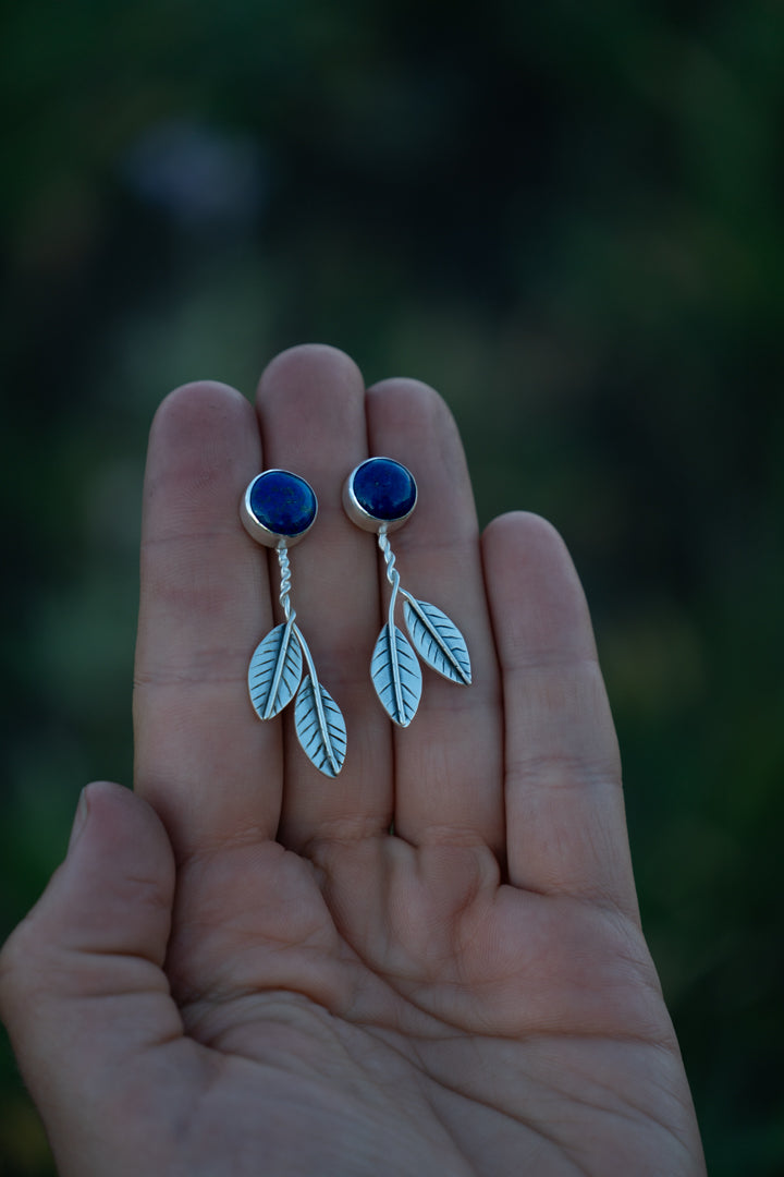 Blueberry Studs