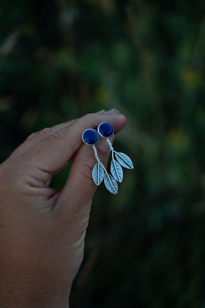 Blueberry Studs